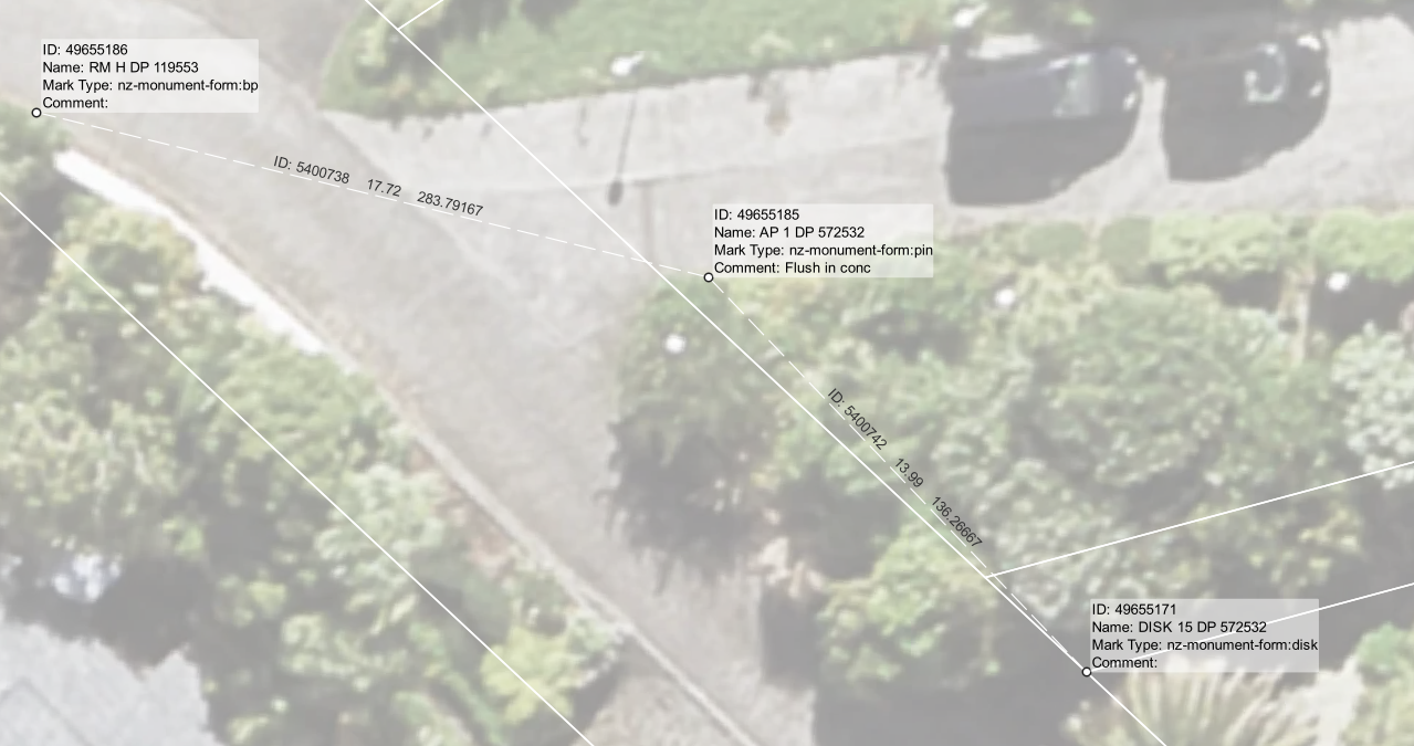 NZ Survey Observation Example